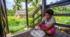 Coconut oil making in Fiji